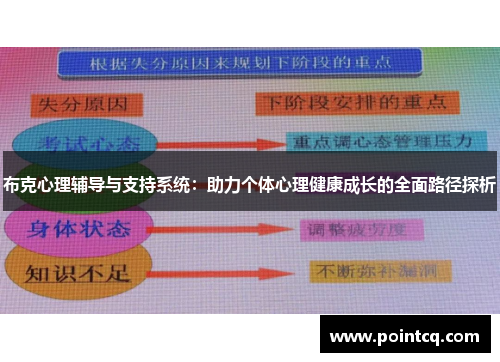 布克心理辅导与支持系统：助力个体心理健康成长的全面路径探析