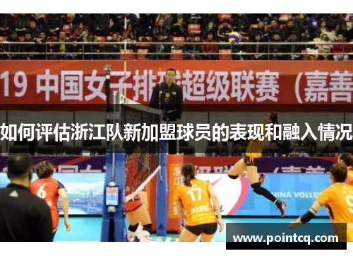 如何评估浙江队新加盟球员的表现和融入情况